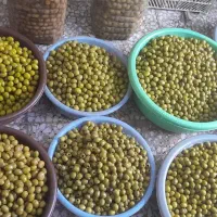 فروش انواع زیتون وروغن زیتون به صورت کلی و جزعی