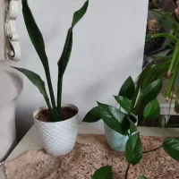 وسایل منزل|حراج|تبریز, |دیوار