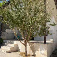 دماوند ویلانقلی350متری 80متر بنابا انشعاب سندتکبرگ|فروش خانه و ویلا|تهران, تهرانپارس جنوبی|دیوار