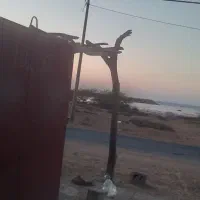 دکه اجاره داده میشود