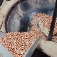 تفت و شور کردن مغز بادام زمینی و آفتابگردان