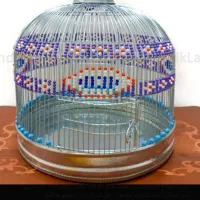 جوجه سهره خاکی جوجه اول