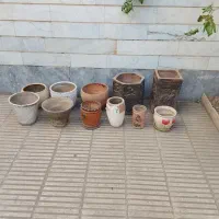 گلدان سفالی سالم|گل و گیاه طبیعی|تهران, افسریه شمالی|دیوار