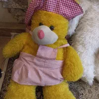 عروسک خرسی|اسباب‌بازی بچه|قم, نیروگاه|دیوار