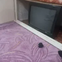 تلویزیون