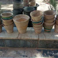 فروش تعدادی گلدان سفالی|گل و گیاه طبیعی|بیرجند, |دیوار