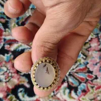 انگشتر شجر|جواهرات|رفسنجان, |دیوار