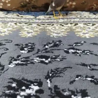 مینا افغانی اصل|پرنده|بندر ماهشهر, |دیوار