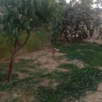 منزل-مسکونی