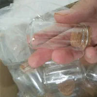 شیشه گیفت دیو و دلبر|صنایع دستی و سایر لوازم تزئینی|شیراز, نصر|دیوار