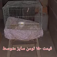 قفس پرنده|لوازم جانبی حیوانات|ری, حمزهآباد|دیوار