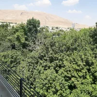 ۱۷۵متر/۳خواب/مجاورباغ/دنج و آرام/همت شمالی|اجارهٔ آپارتمان|شیراز, مهدی‌آباد|دیوار