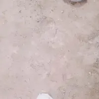 فروش چهارسهم یاسومارمحلی در پلدشت