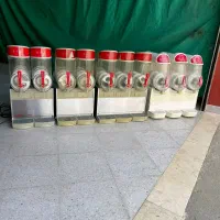 اگولینی یخ در بهشت