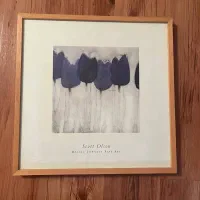 دوعددقاب عکس مدرن خریداری شده ازفروشگاهIKEA دبی|تابلو، نقاشی، عکس|مشهد, هنرستان|دیوار