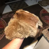کلاه پشمی روسی