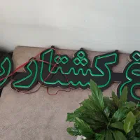 نیون مرغ کشتار روز