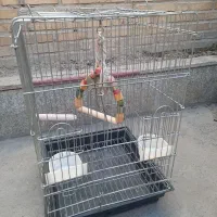 قفس گاسکو