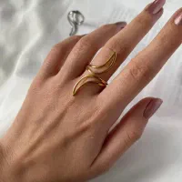 فروش اکسسوری و بدلیجات  مردانه و زنانه|بدلیجات|تهران, گیشا|دیوار