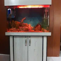 آکواریوم شیشه خم شیک