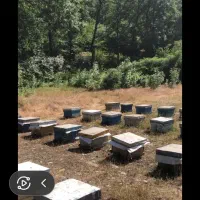 کندو،طبق،چوب کارت ،ظرف شربت خوری