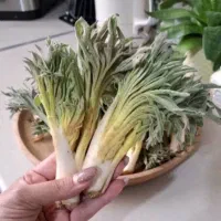 کما|خوردنی و آشامیدنی|زیرکوه, |دیوار