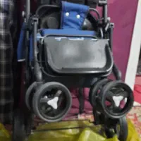 کالسکه دلیجان تاشو|کالسکه و لوازم جانبی|همدان, |دیوار