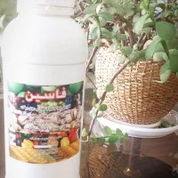 خدمات کشاورزی پسته|خدمات باغبانی و درختکاری|تبریز, |دیوار