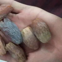 خرما مجول وپیارم|خوردنی و آشامیدنی|فسا, |دیوار