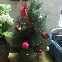 درخت کریسمس