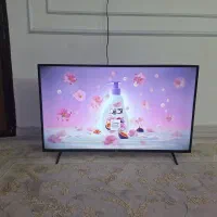 تلوزیون۴۳ ال جی