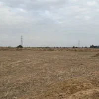 املاک زمین زراعی|فروش دفتر صنعتی، کشاورزی، تجاری|مینودشت, |دیوار