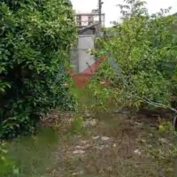 فروش زمین۱۱۴ متری /سند تکبرگ ۶ دانگ/براصلی خیابان|فروش زمین و ملک کلنگی|بندر انزلی, نیمه شعبان|دیوار