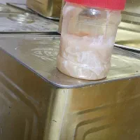فروش عسل کنار