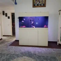 فروش آکواریوم سلطنتی با ابعاد بزرگ