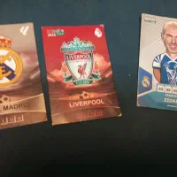 زیدانم سالمه