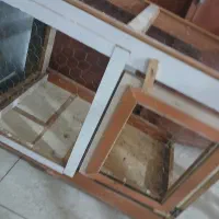 قفس کبوتر