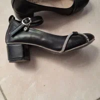 کفش مجلسی
