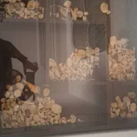 فروش گل میز و پایه در حد نو|مبلمان خانگی و میز عسلی|شیراز, شهرک والفجر|دیوار