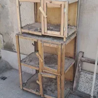 جفت کن کفتر