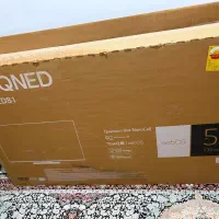 کارتن تلویزیون ۵۵ اینچ