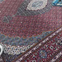 دو عدد فرش ۱۲ متری ماشینی|فرش|اندیمشک, |دیوار