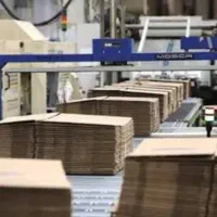 تولید کارتن