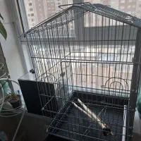 قفس بزرگ پرنده