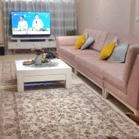 ۲ عدد فرش ۴ متری یک شکل