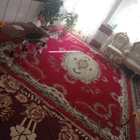 دنبال تخته فرش 12 متری میگردی. به من پیام بده