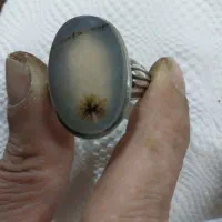 انگشتر شجر.فروش فوری