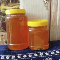 عسل کنار خالص|خوردنی و آشامیدنی|شیبکوه (فارس), |دیوار