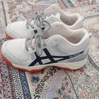 کفش کلی جزی|کیف، کفش، کمربند|نیشابور, مازول|دیوار