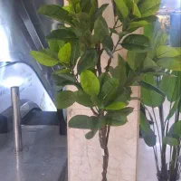 درختچه های مصنوعی وارداتی|گل مصنوعی|تهران, ابوذر|دیوار